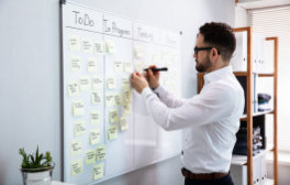 Projektmanagement Studium